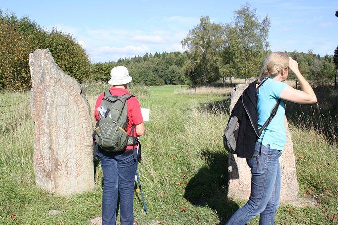Viking History Small Group Tour from Stockholm: Half Day Including Sigtuna - Price, timing, and the value question