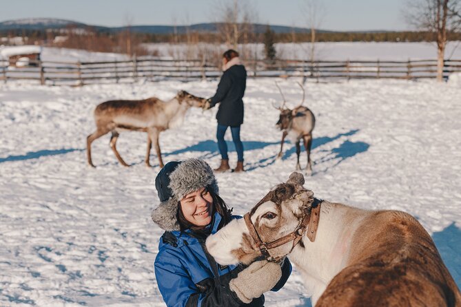 Visit the Sami and Reindeer in a Day Trip from Abisko - From Abisko to Jukkasjärvi by morning pickup