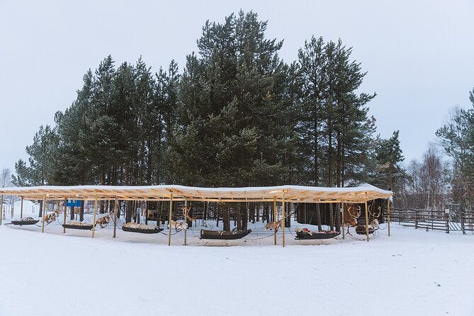 Visit the Sami and Reindeer in a Day Trip from Abisko - Café Sápmi is a useful pause, not included lunch