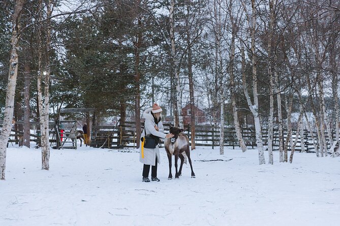 Visit the Sami and Reindeer in a Day Trip from Abisko - Booking details that affect your day