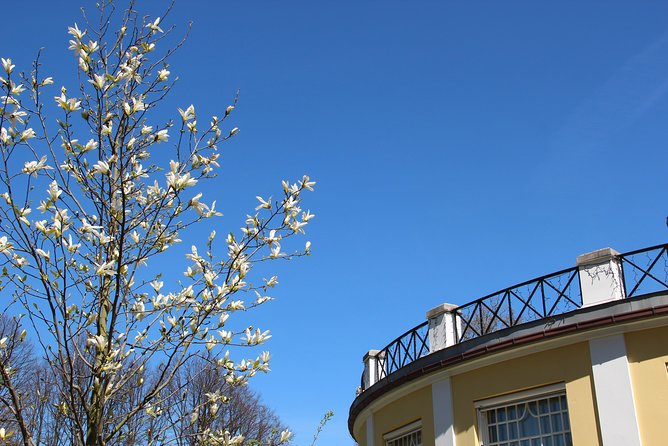 Walk Malmö with an audio guide - Folkets Park and Möllevångstorget