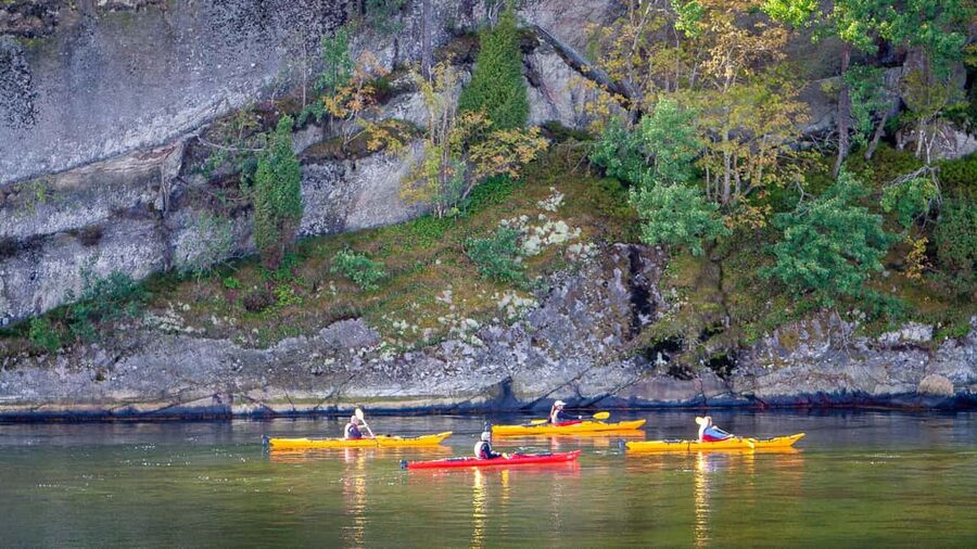 West Sweden: Sea Kayak Delight in Nature Reserves - Should you book the Bassholmen kayaking day?