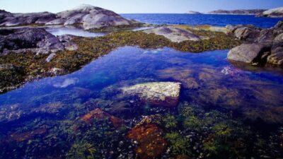 West Sweden: Self Guided Kayak Tour – Southern Route