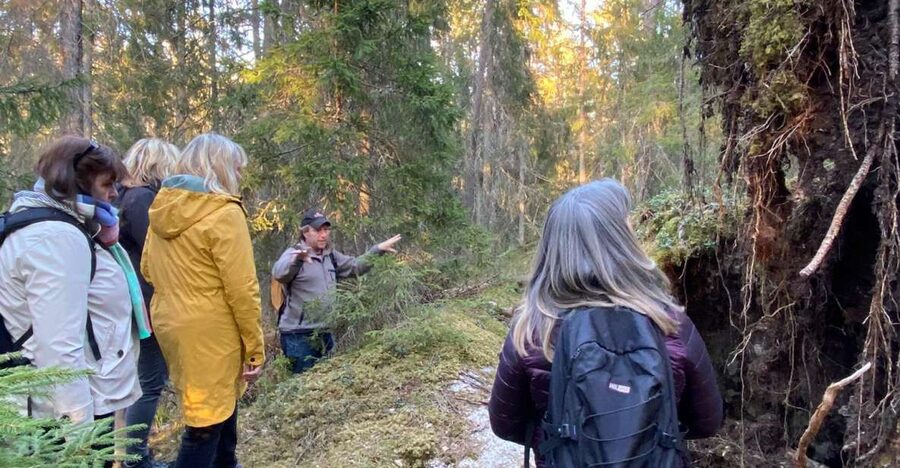 Wolf and Wildlife Tracking in Sweden - Binoculars, night vision, and listening