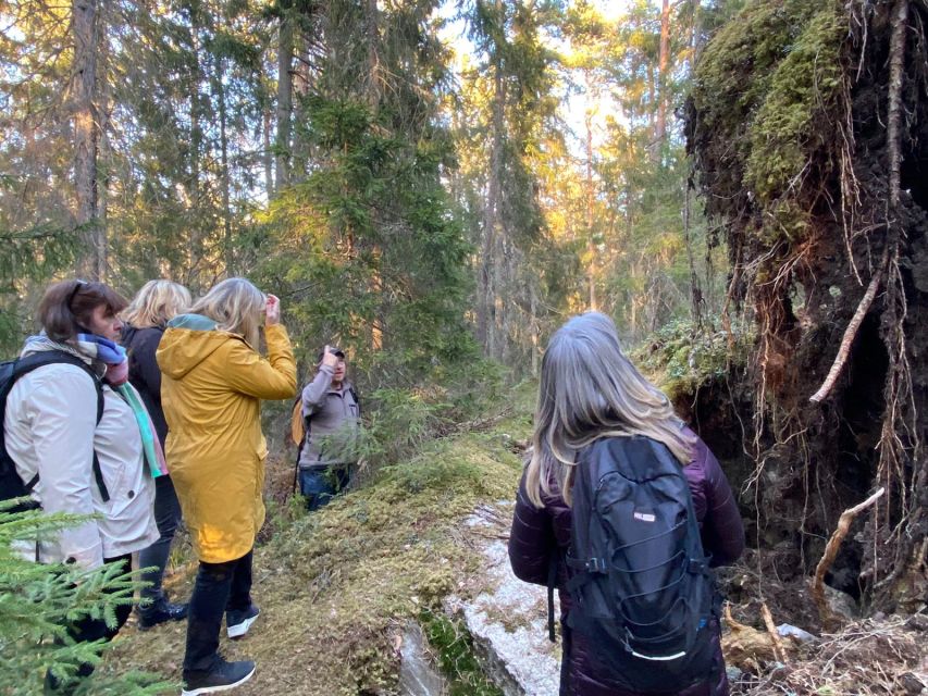 Wolf and Wildlife Tracking in Sweden - Coffee, cookies, and a meal over the fire